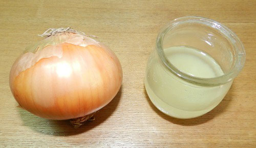 Onion extract