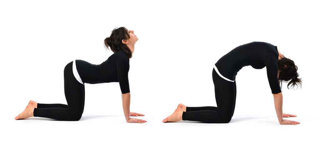 girl doing cat cow stretch
