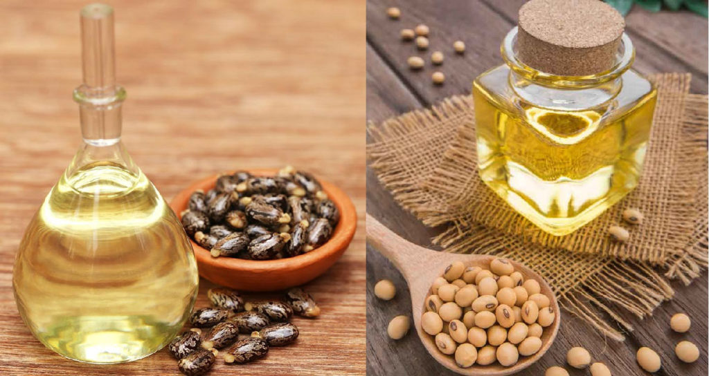 Castor Oil and Soybean Oil