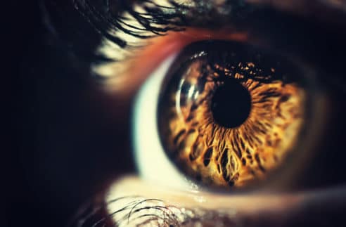 Human Eye Iris Close