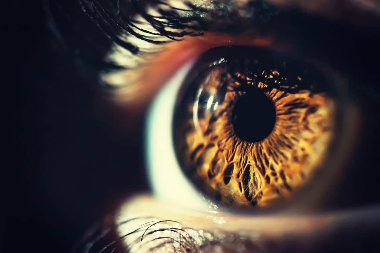 Human Eye Iris Close
