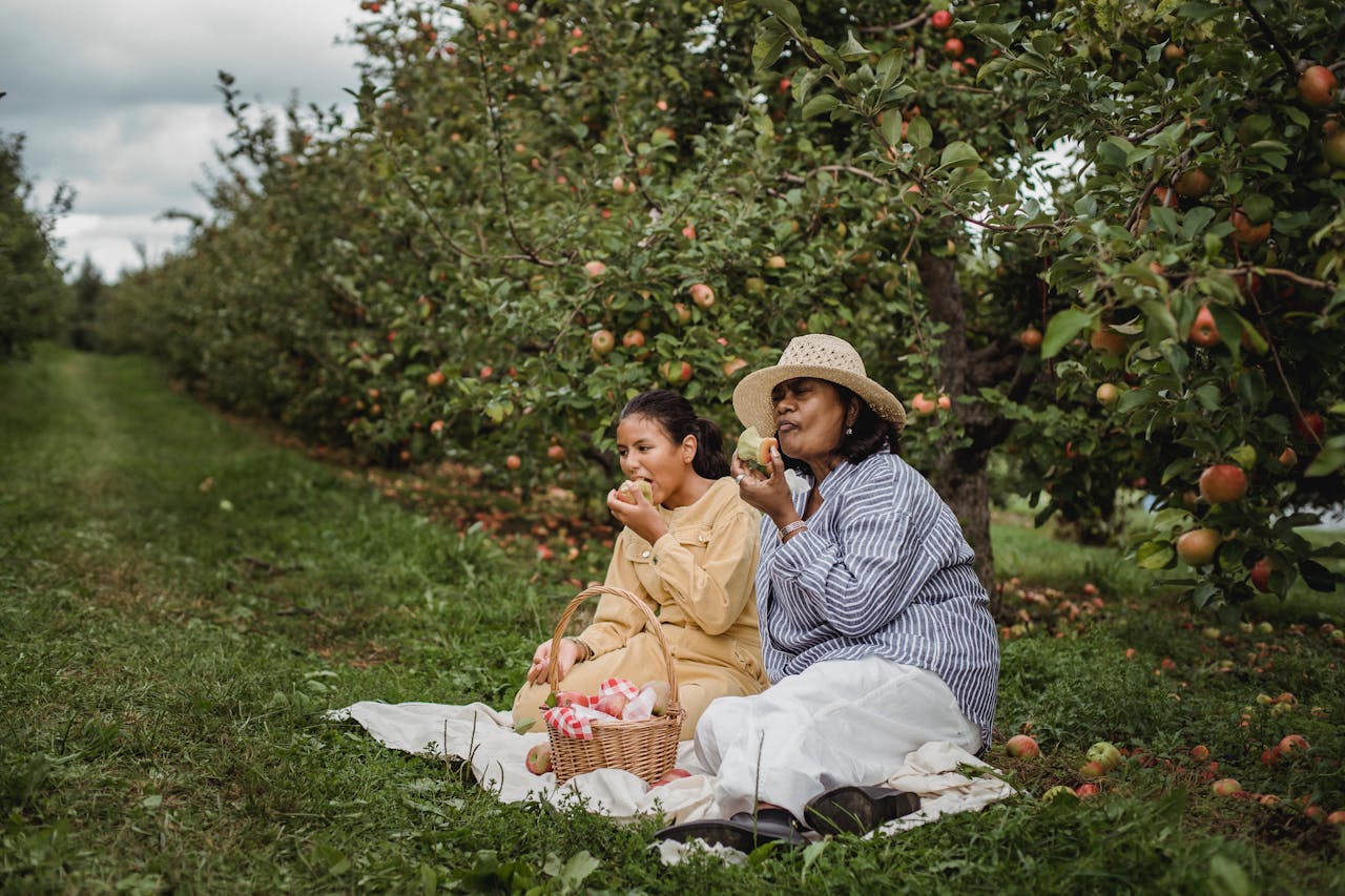 mother and daughter eating apples during picnic