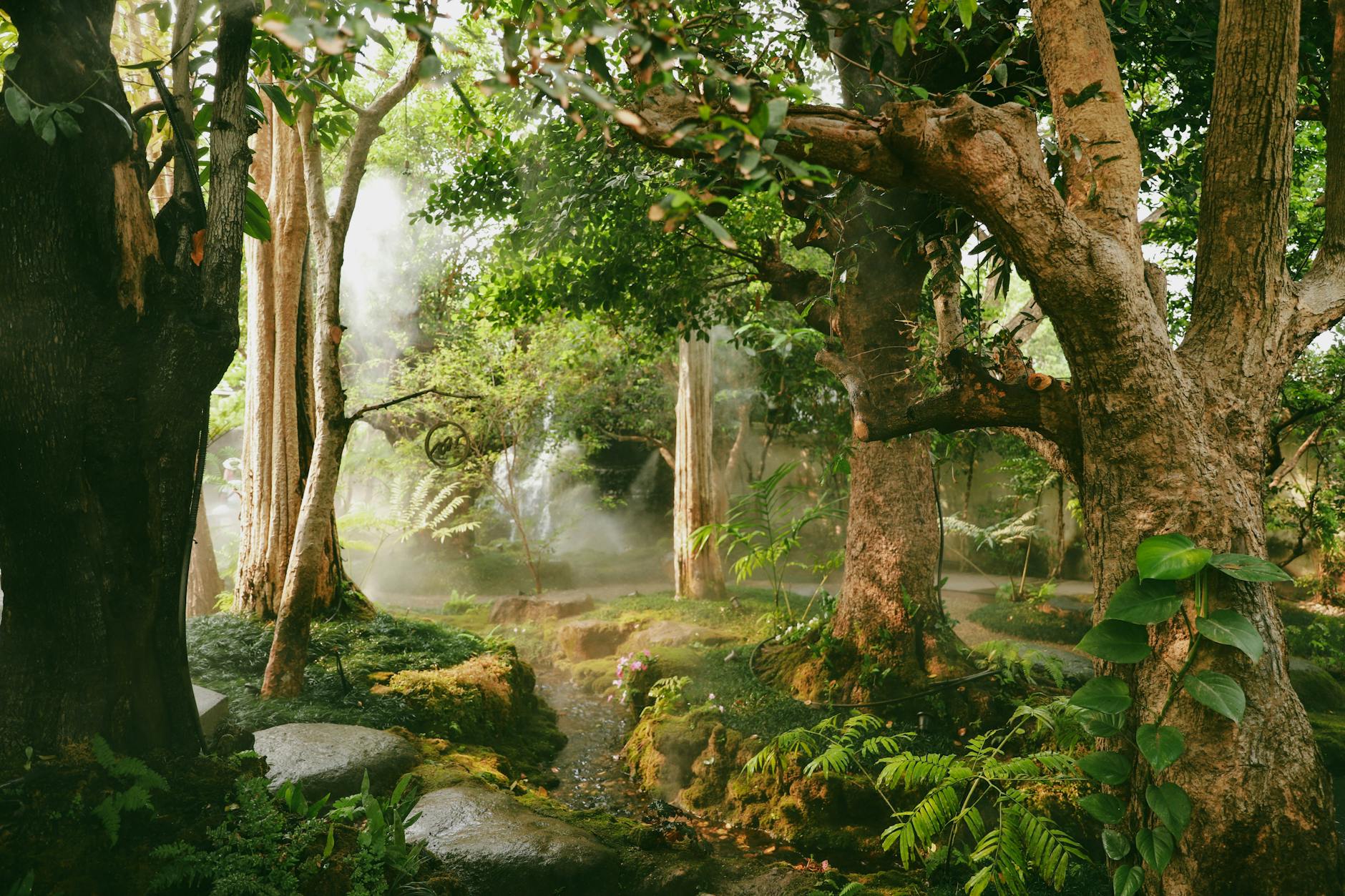 lush green forest with misty atmosphere